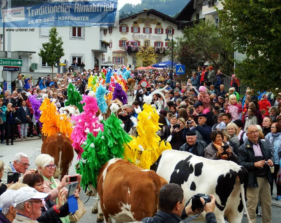 Almabtrieb in Hopfgarten